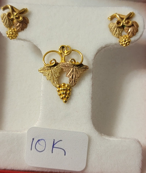 10k Gold earing and Charm