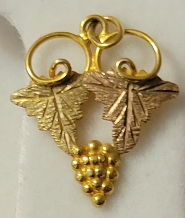 10k Gold earing and Charm